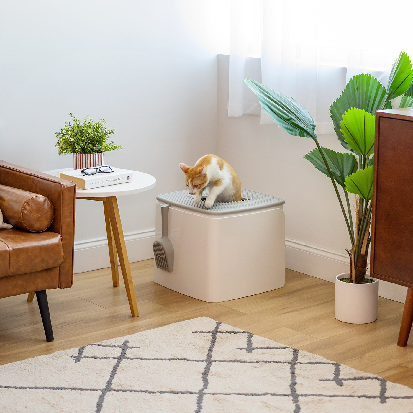 IRIS EE.UU. – IRIS USA North America