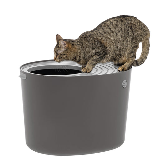 Top Entry Cat Litter Pan - Large - IRIS USA, Inc.